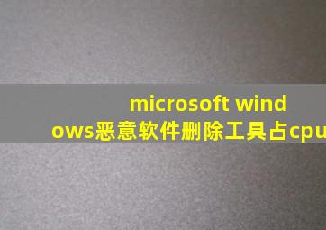 microsoft windows恶意软件删除工具占cpu